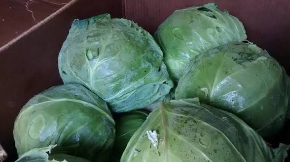 Fermented Raw Sauerkraut - Gut Health & Perfect To Cook With