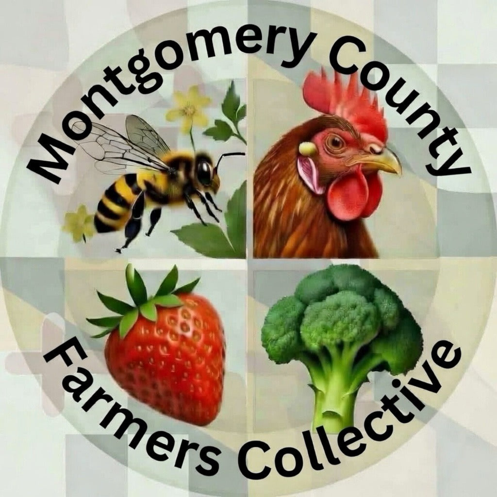 Individual Yearly Membership