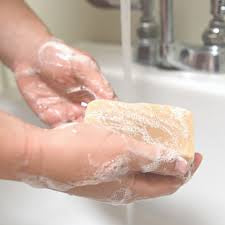 Goats Milk Soaps & Lotion