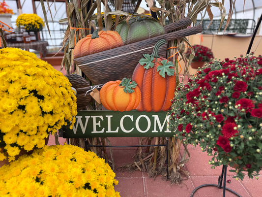 Wheel Barrow Full Of Pumpkins (Metal Yard Art)