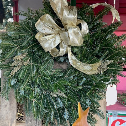 Premium Fraser Fir Christmas Wreath - Gold Bow