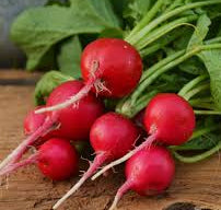Organic Radishes 1 Pound Bunch
