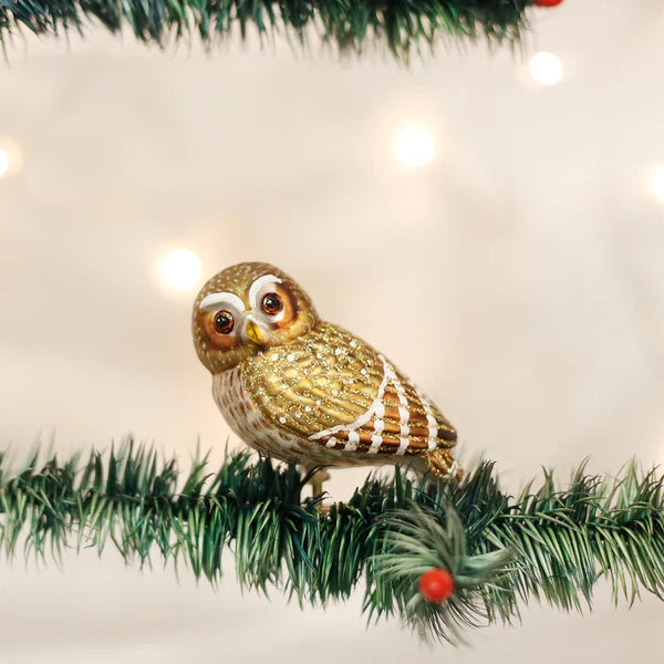 Woodland Pygmy Owl Glass Ornament #18067